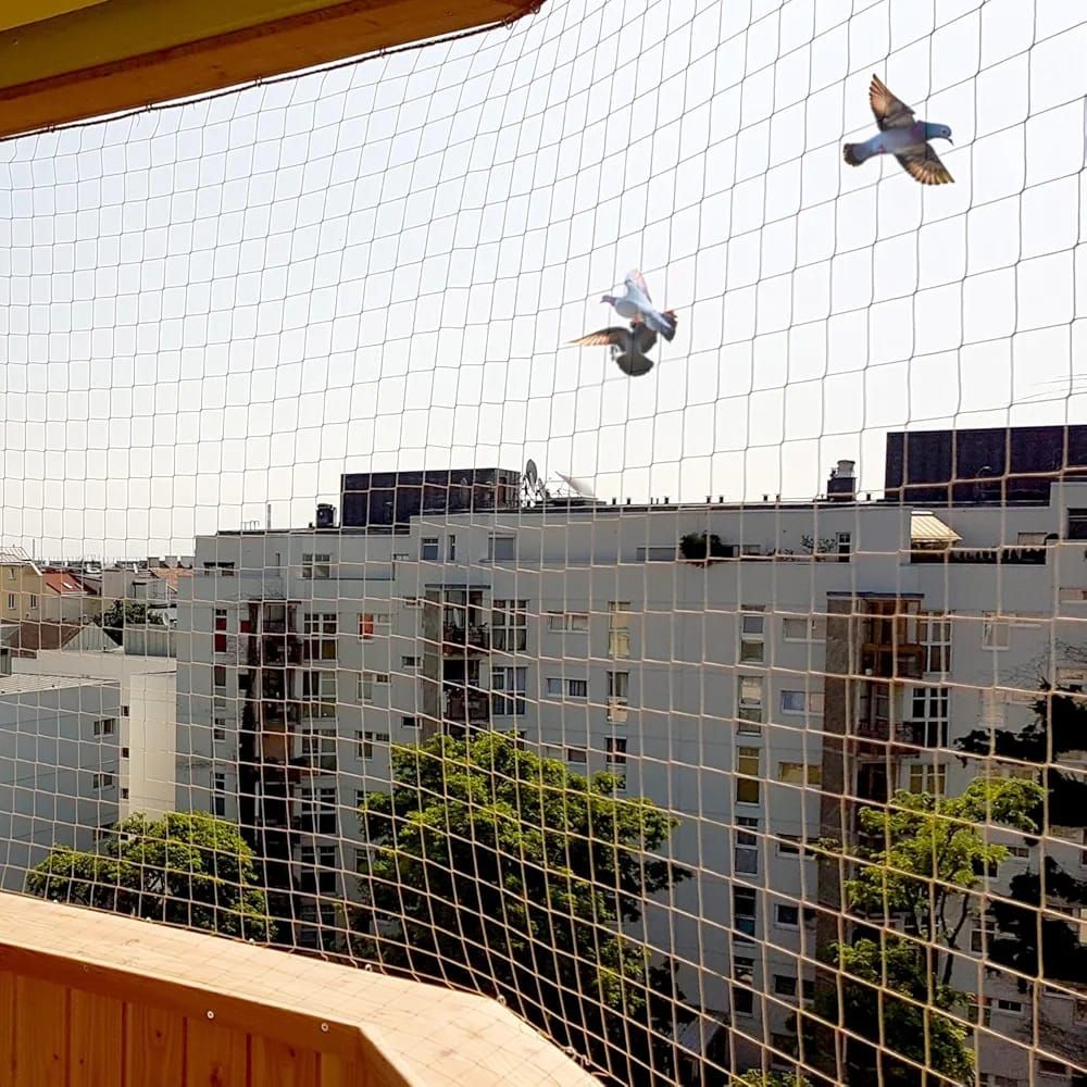 kishor pigeon netting services gurgaon