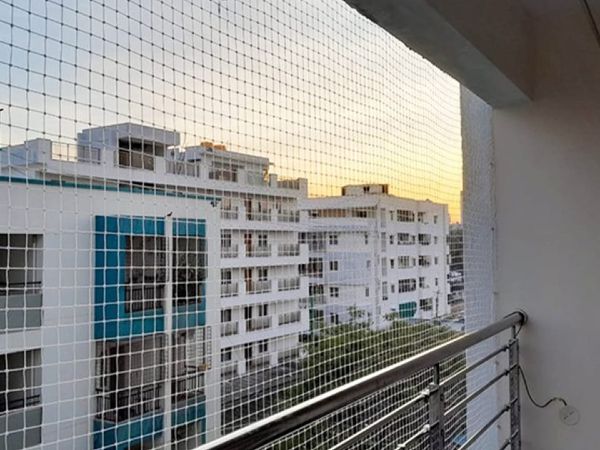 pigeon netting services gurgaon 1