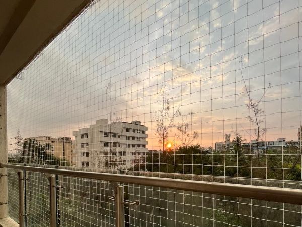 pigeon netting services gurgaon 4